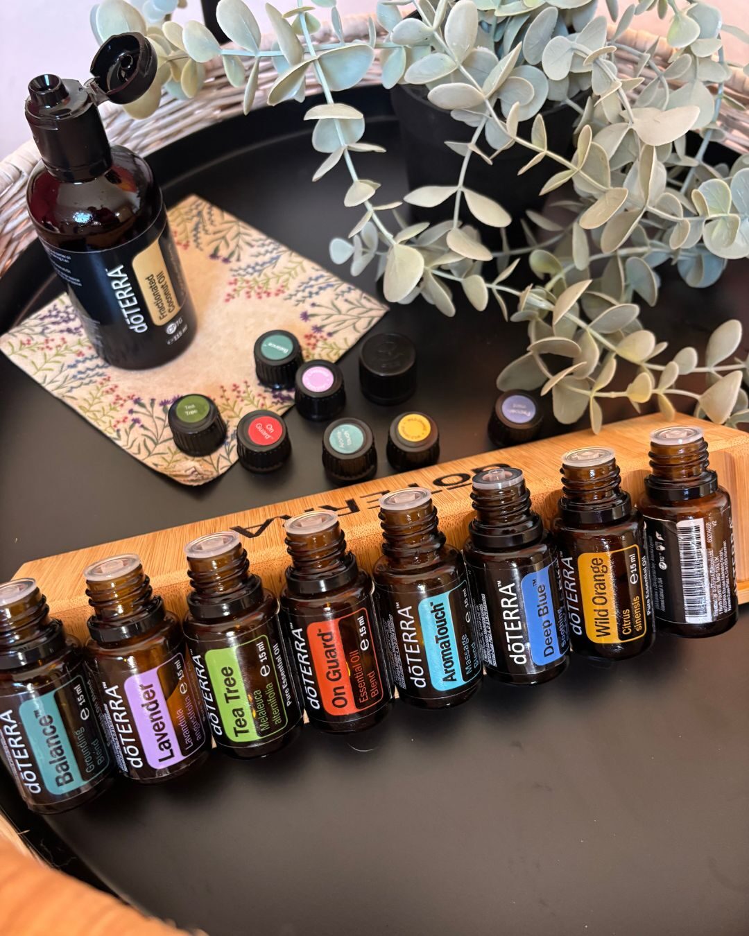 dōTERRA Öle-Reihe mit Eukalyptuszweig